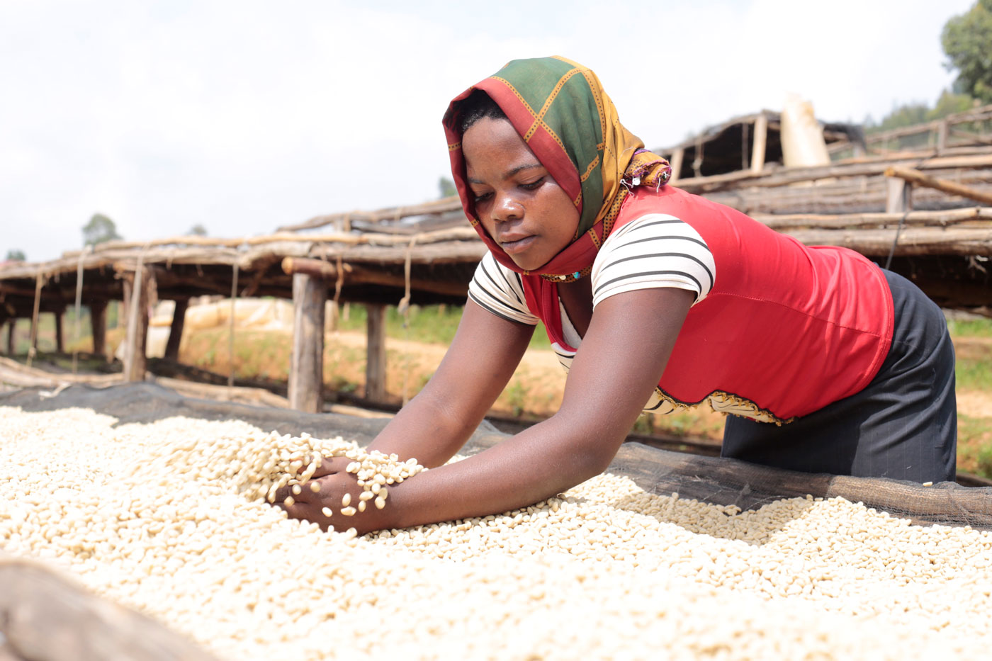 Partner focus! Omwani & Migoti Coffee Company