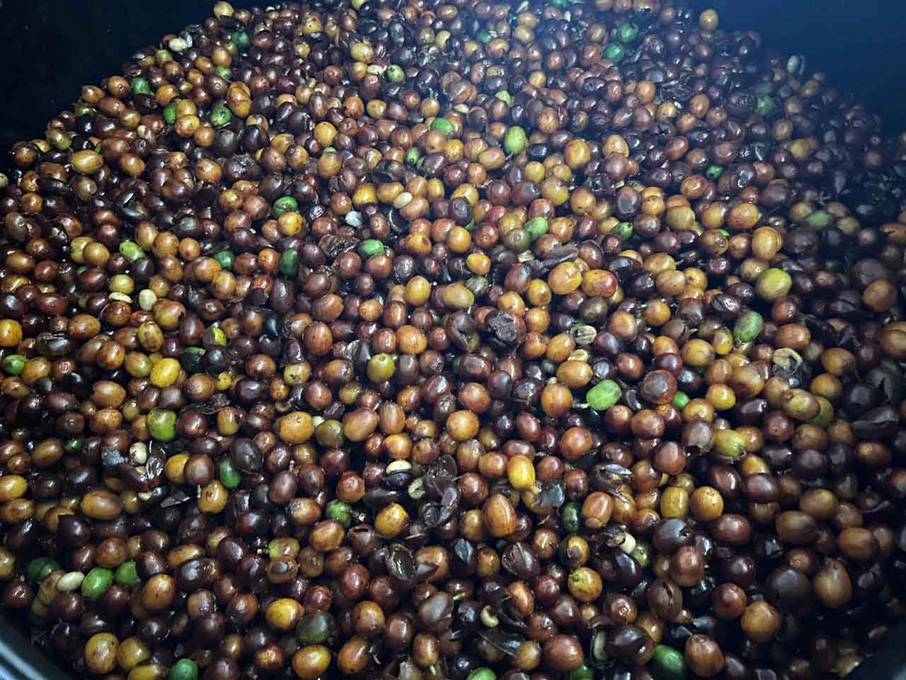 What is anaerobic fermentation in coffee?